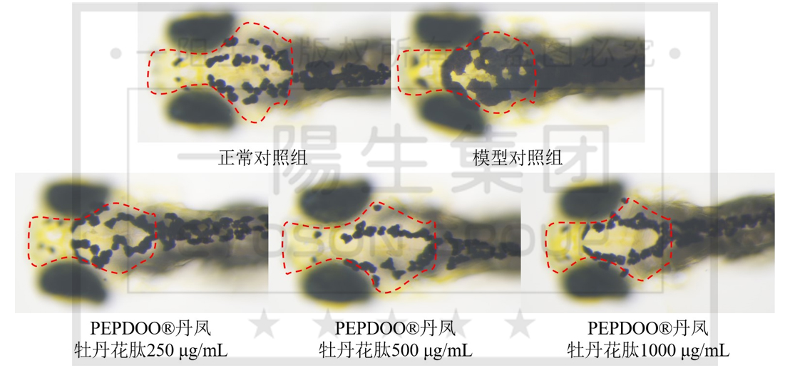 永乐高·(中国区)官方网站